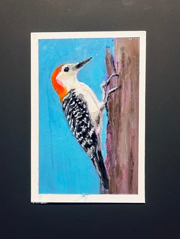 Red-Bellied Woodpecker, acrylic on illustration board, 4"w x 7"h