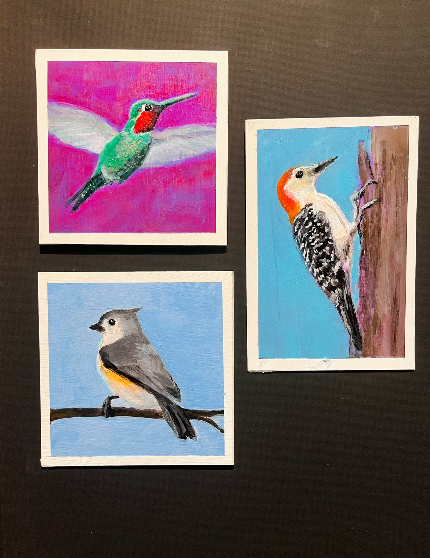 Party of Three: Ruby-Throated Hummingbird, Tufted Titmouse, Red-Bellied Woodpecker