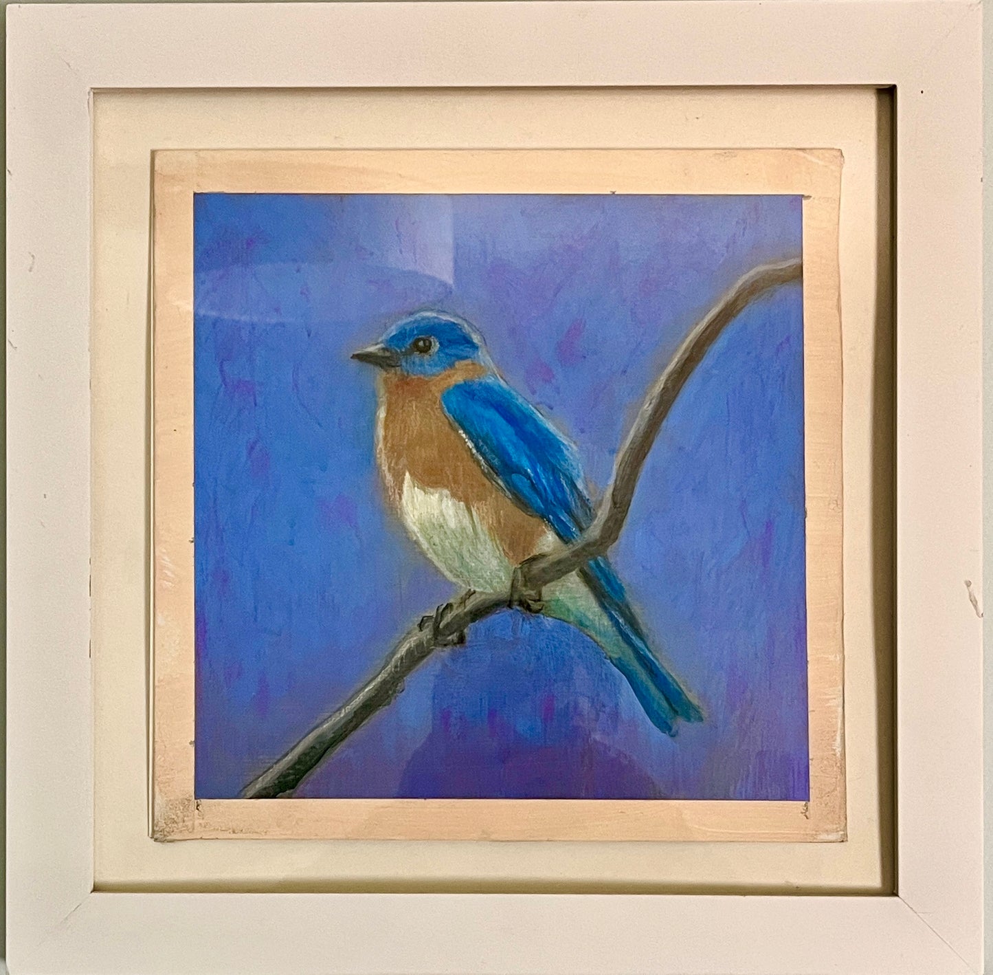 Eastern Bluebird, acrylic on board, 8" x 8", framed