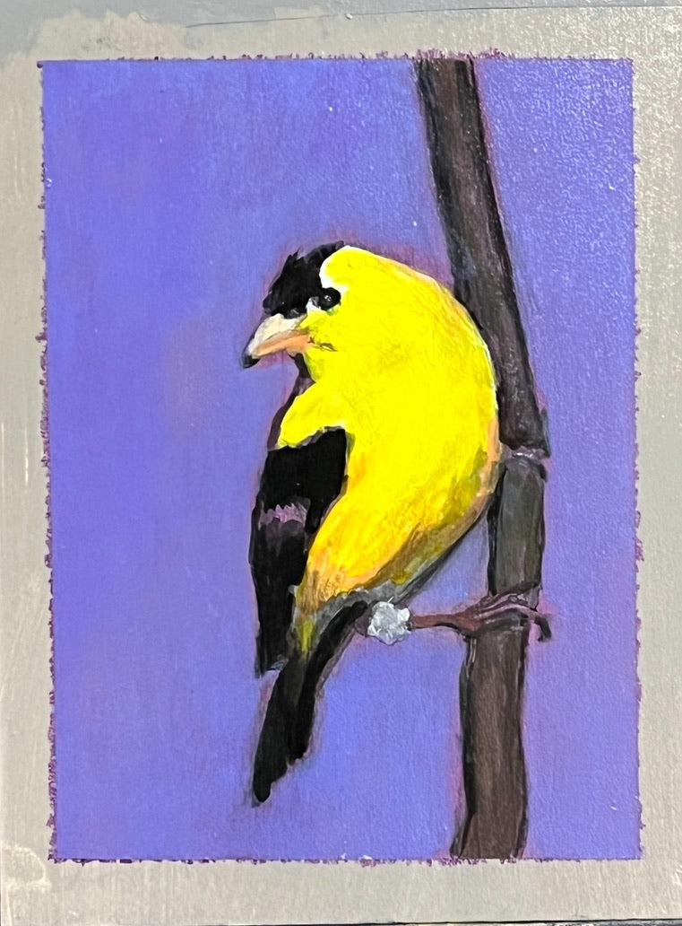 American Goldfinch, acrylic on board, 9" x 9", available at Presson Gallery