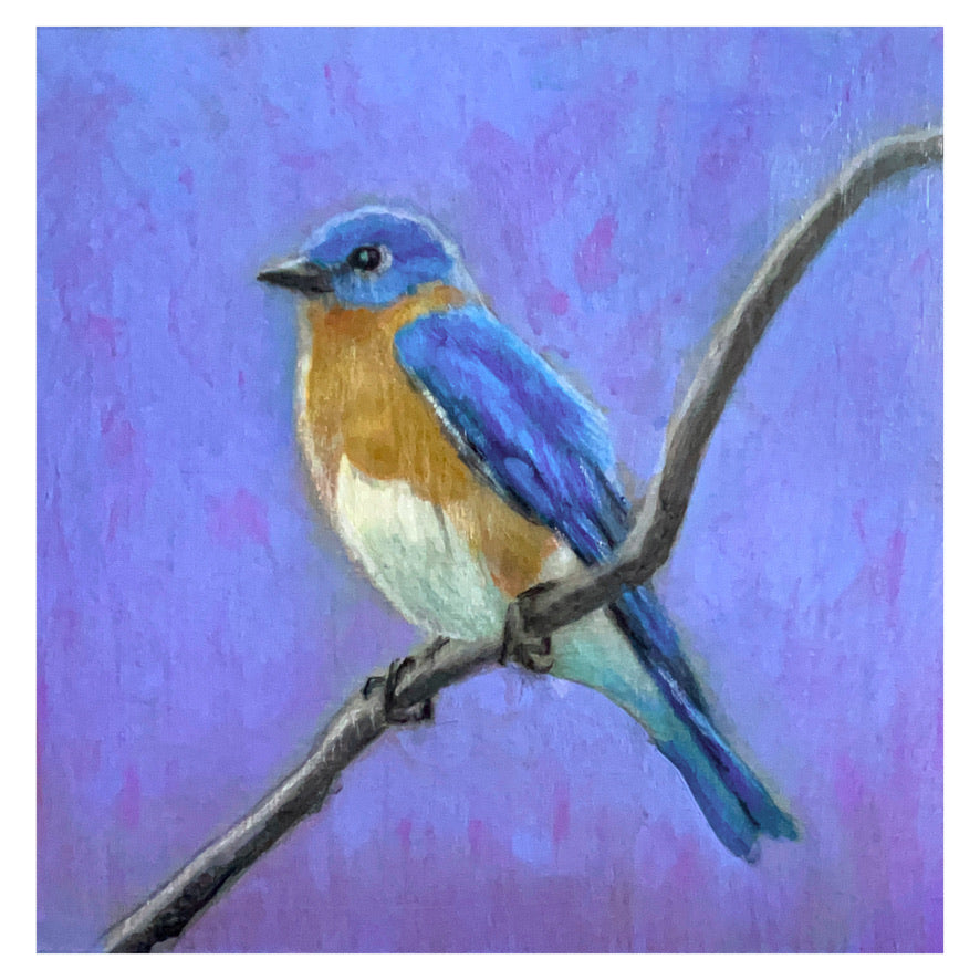 Eastern Bluebird, acrylic on board, 8" x 8", framed
