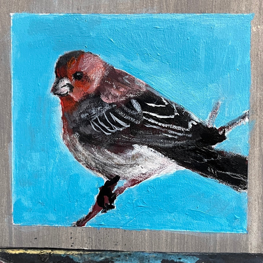 Trio: House Finch, Mountain Bluebird, Cardinal, acrylic on board, 13" x 25"  framed