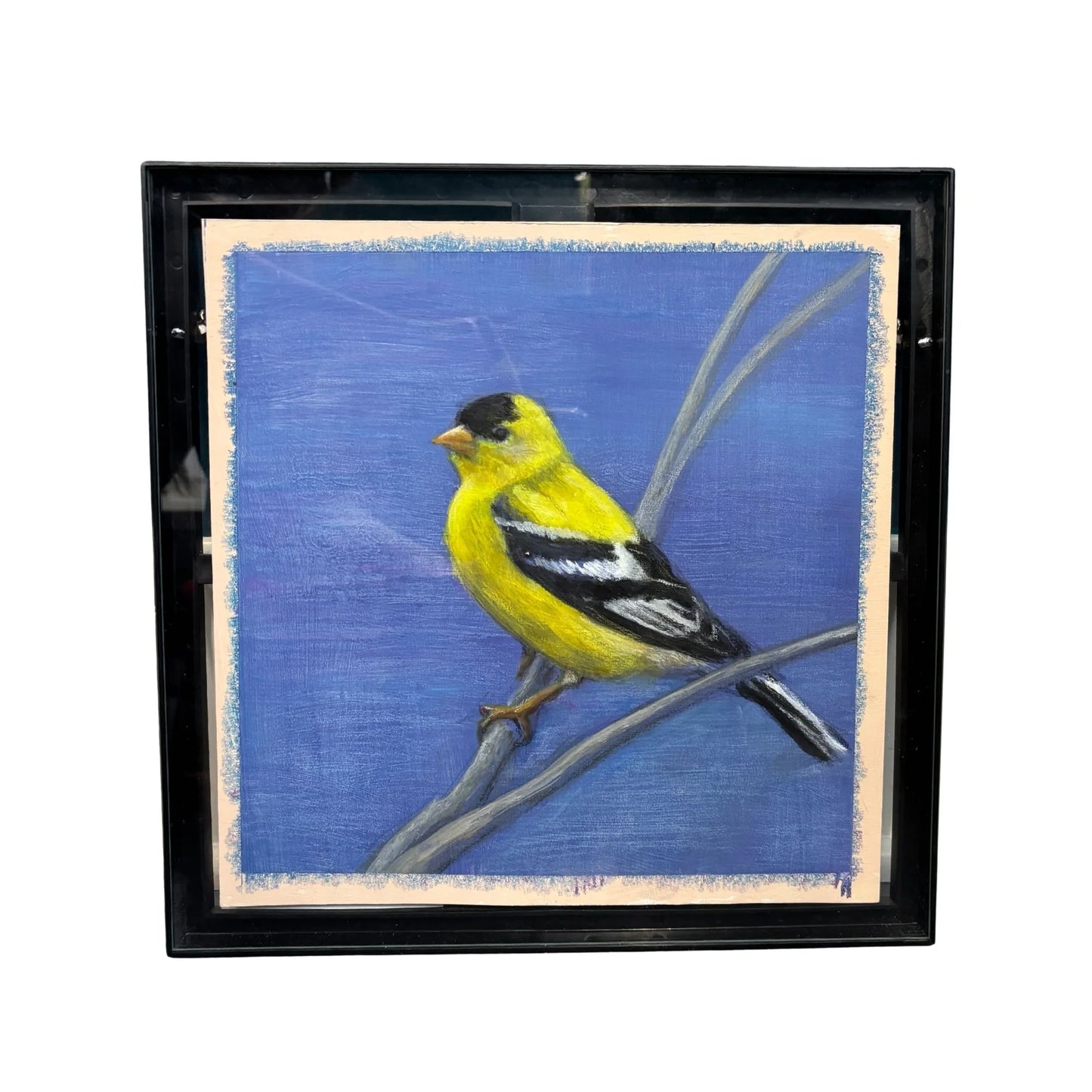 Large Goldfinch, 12" x 12", acrylic on illustration board, available at Presson Gallery